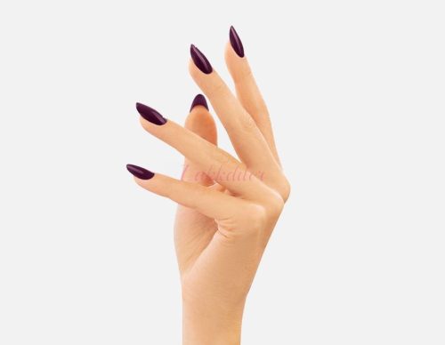 188 Magenta Plum VICTORIA VYNN PURE CREAMY HYBRID
