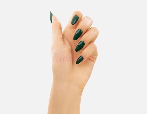  207 Dark Emerald VICTORIA VYNN GEL POLISH