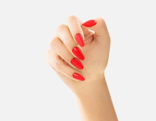  214 Merry Christmas VICTORIA VYNN GEL POLISH