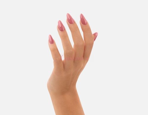 221 Morning in Venice VICTORIA VYNN PURE CREAMY HYBRID