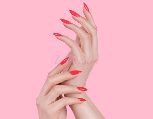  285 Stolen Kiss VICTORIA VYNN GEL POLISH