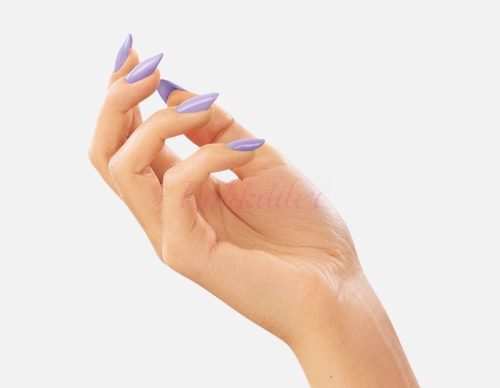  291 Modern Violet VICTORIA VYNN GEL POLISH