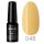 48 Profinails Gel Lac LED/UV lakkzselé 6 g 