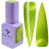 DNKa' Color Gel Polish Cat's Eye 0006 80's 12ml