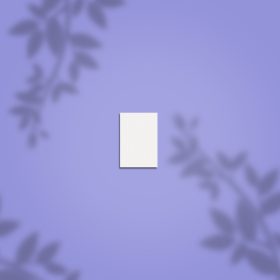 Staleks Pro Buffer MINI NFB-51M-100/180-50 - 50db