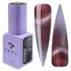 DNKa' Color Gel Polish Cat's Eye Silk 0035 7ml