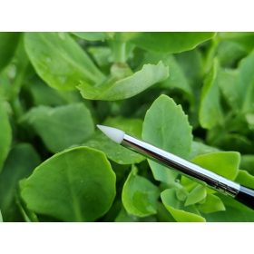 Luxury Nails Art Pen