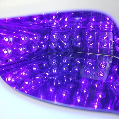 Nailvana Master Pro UVLED Lamp