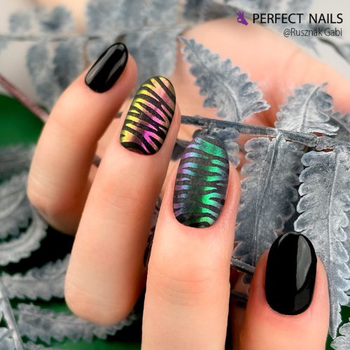 Körömnyomda Lemez - Animal Love