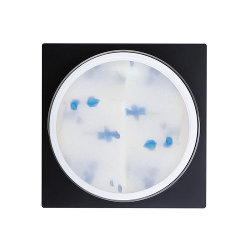 Flower Gel - Blue - 5g