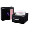 Perfect PolyAcryl Gel - Polygel Cover Nude 15g