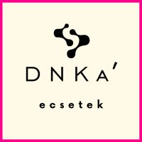 DNKa' Ecsetek